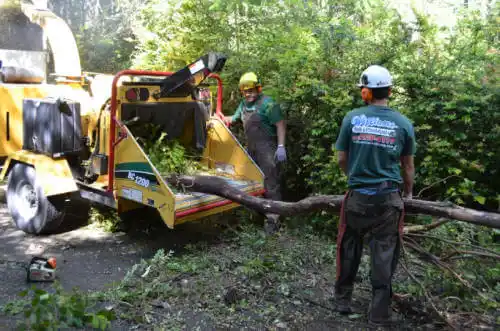 tree services Mahomet